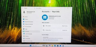 You can now easily create a local account while installing Windows 11
