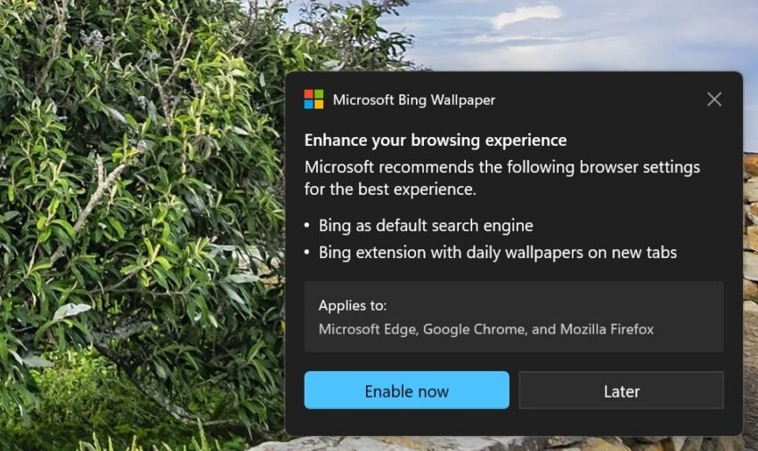 Bing Wallpaper app hijacking Windows 11 web browsers