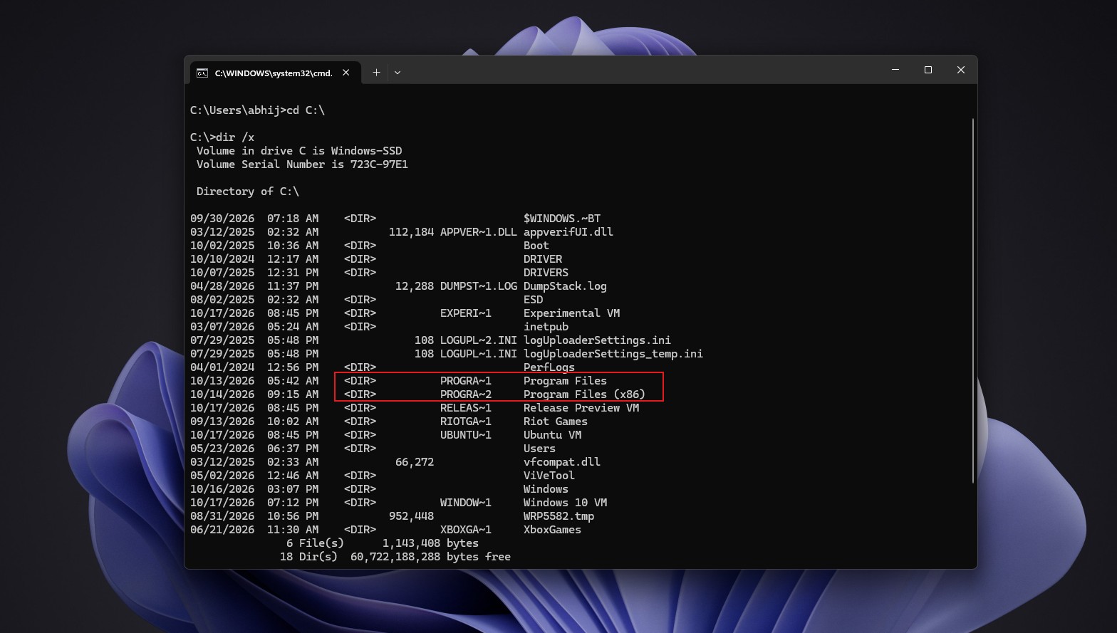 Command Prompt on Windows 11 showing dir x with PROGRA~1 next to Program Files