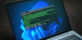 Developers use Windows more than any other OS, says Microsoft Distinguished Engineer