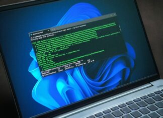 Microsoft distinguished engineer fires back at anti-Windows 11 rage-bait, says “more developers use Windows” than Linux or macOS Developers use Windows more than any other OS, says Microsoft Distinguished Engineer