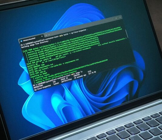 Developers use Windows more than any other OS, says Microsoft Distinguished Engineer