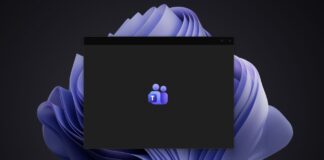 EU officials slam their Teams backup, but Teams is a 1GB web app