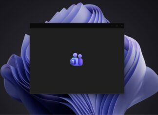 EU officials slam their Teams backup, but Teams is a 1GB web app