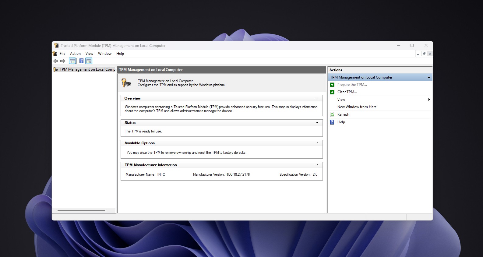 TPM information in a Windows 11 PC