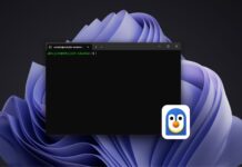 WSL Containers is now generally available on Windows, and Microsoft is already working on Compose
