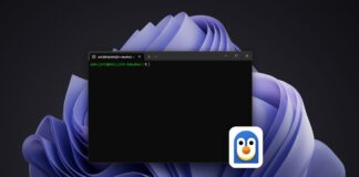 WSL Containers is now generally available on Windows, and Microsoft is already working on Compose
