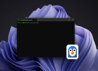 Microsoft’s then-CEO called Linux a cancer, and now Windows 11 ships Linux containers with upgraded WSL WSL Containers is now generally available on Windows, and Microsoft is already working on Compose