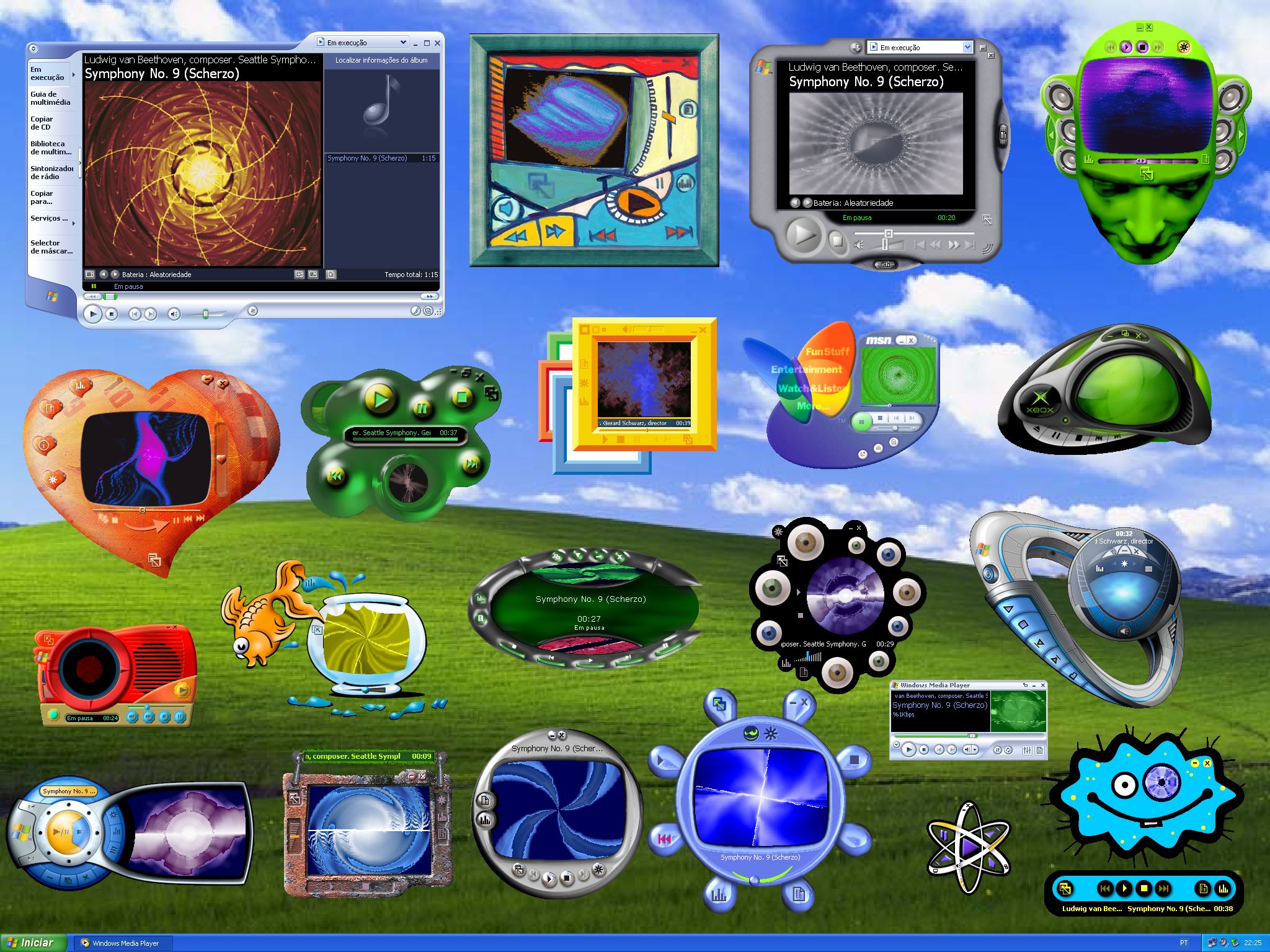Windows Media Player skins in Windows XP