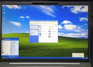 Windows XP's legendary compatibility was partly Microsoft lying to old apps