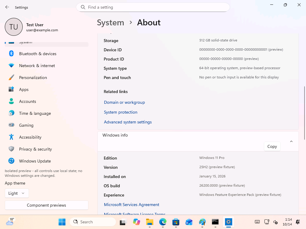 Windows info in preview mode is labelled as "preview fixture" data.