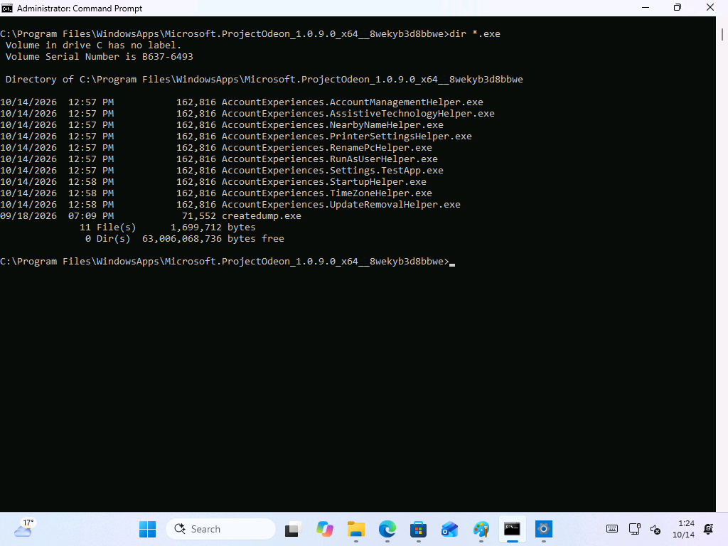 The executables inside the Microsoft.ProjectOdeon package folder. 