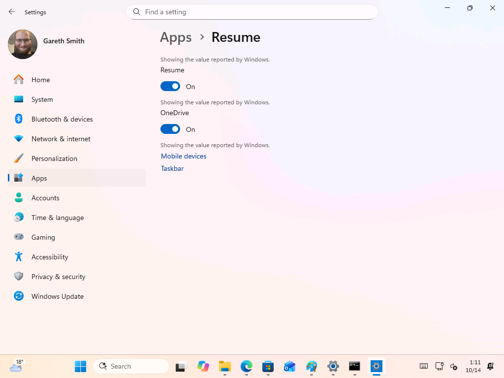 The Resume page in Odeon repeats "Showing the value reported by Windows" under each control. 