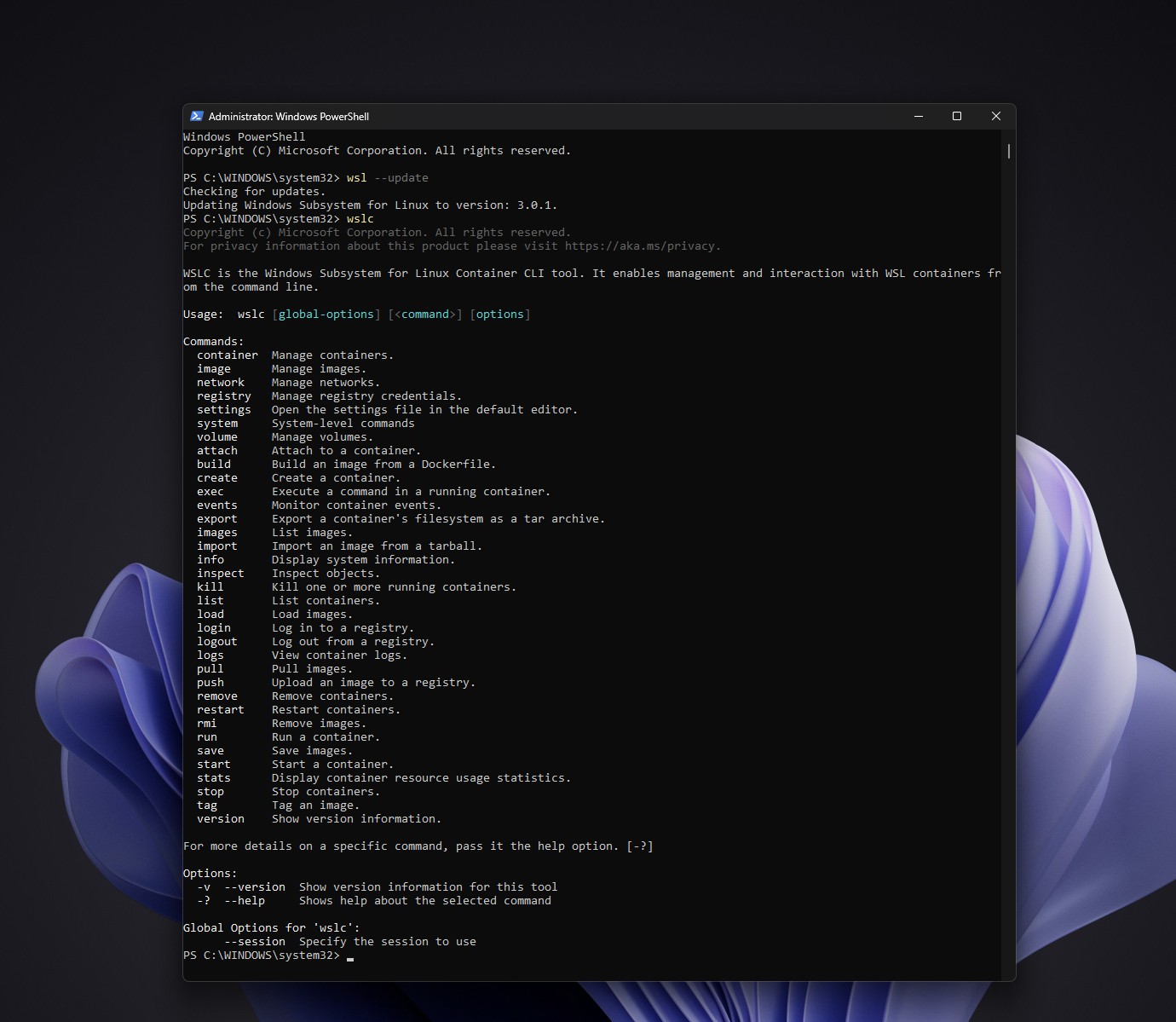 wslc shows the full command list